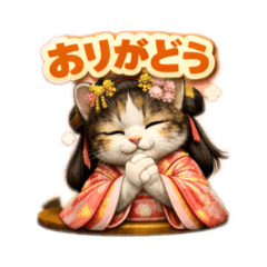 Ponta_20260206204504