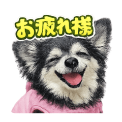 sookiy_20260208014007