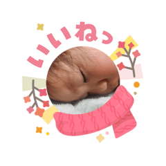 hiroshi_20260208112119