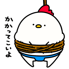 Sumo wrestler25Competitive