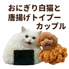 White cat and toy poodle 1