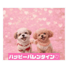 maron & baron_20260206213634