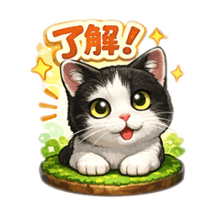 Ponta_20260206215033