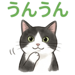 The daily life of an ordinary cat