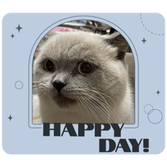 可愛的煎餅果子