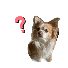 Erina_20260207210851