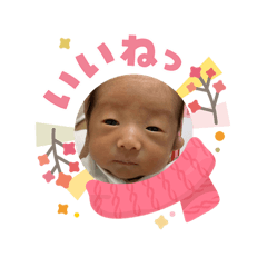 Chiyo_20260208114023