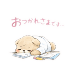 suzu_20260208114041