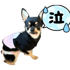 Takumi_20260208154418