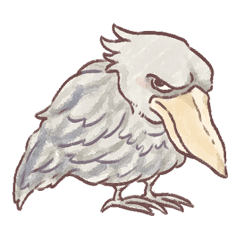 Large letters Shoebill-san