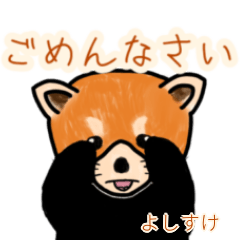 Yoshisuke's lesser panda