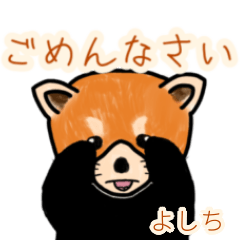 Yoshichi's lesser panda