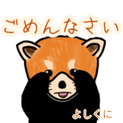 Yoshikuni's lesser panda