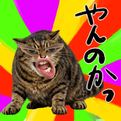 Weird Remix Sticker Assets