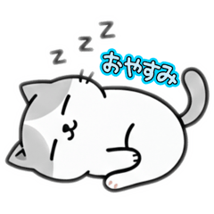 kana_20260207213800