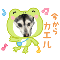 Kaede_20260208142400