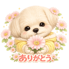 honoka_20260208142355