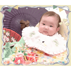 shibata_20260208161203