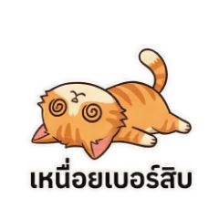 Orange Cat Power Surge Shrink Needs a