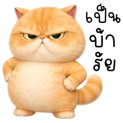 Chubby Cat (THAI)
