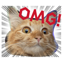 Thanyarat_20260208140633