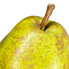 BIG! Pear