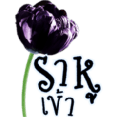 สนทนาภาษาดอกไม้(สายมู สายบุญ) 9