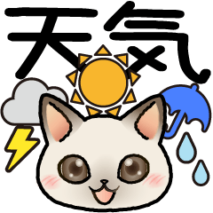 Happy Cat that tells you the weather