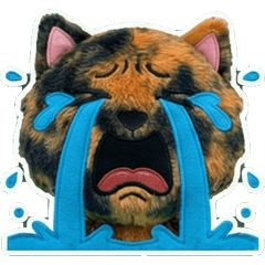 Moving Tortoiseshell Cat  8th