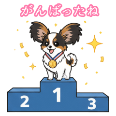 パピヨンアジリティー日常会話36