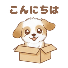 Cute Chiwapoo Life