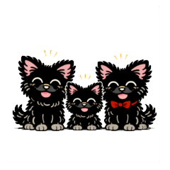 Scottish Terrier 3brothers