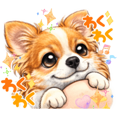 emily_20260207162053