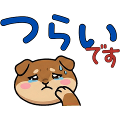 動く敬語シマリス24