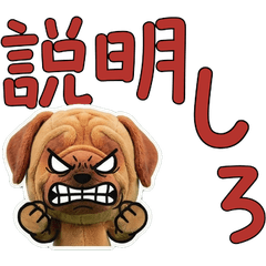 動くぬいぐるみ土佐犬10