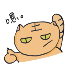 Weird cat - everyday languages