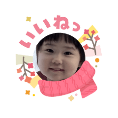 machico_20260207214932