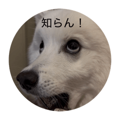 Death_20260207214832