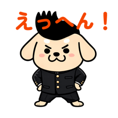 TONPEY_20260208133053