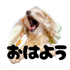 masa's_20260207215023