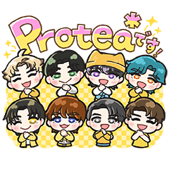 Protea* (バイプロテア）
