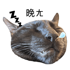 皮蛋胖肉粥（淼+牙2.0）