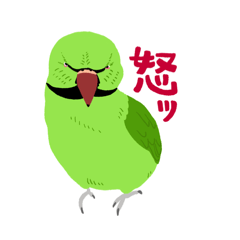 MOEKO_20260207181345