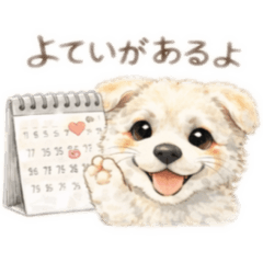 Pokomaru_20260207193135