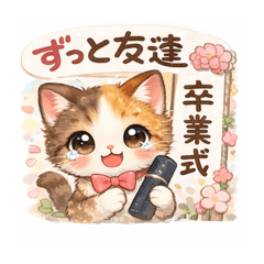 graduation ceremony cat