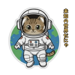 Marokey_20260207200530