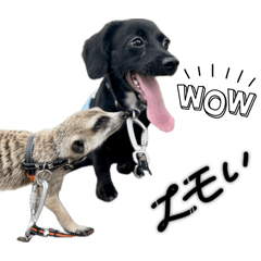 Ken punk_20260207194452