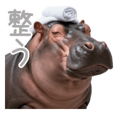 Cold Bath Addict Sauna Hippo
