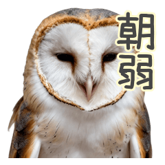 Groggy Owl Hates Mornings