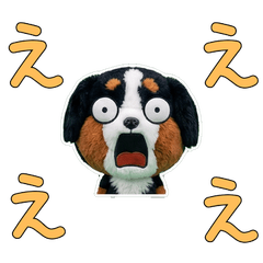 สุภาพ เบอร์นีส เมาน์เทน  11